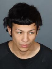 Arson suspect mug shot